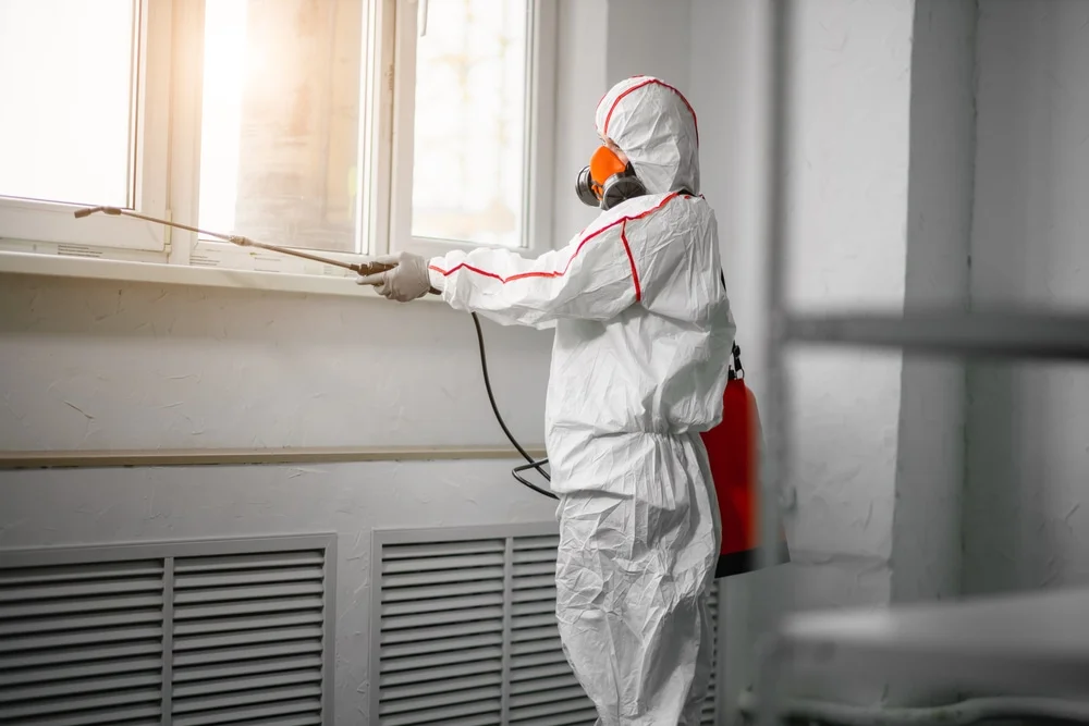 Professional mold remediation services in Paxton, MA